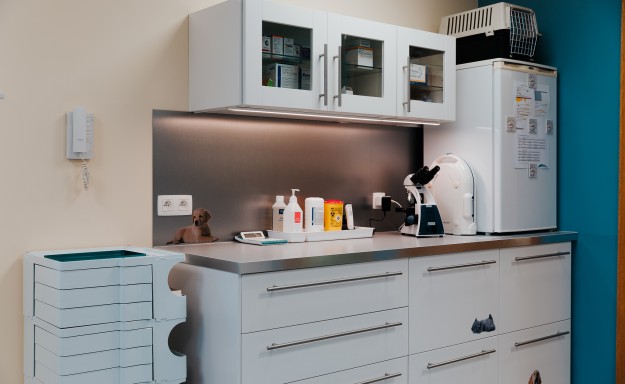 20180131- Vetanim - 12 (1)